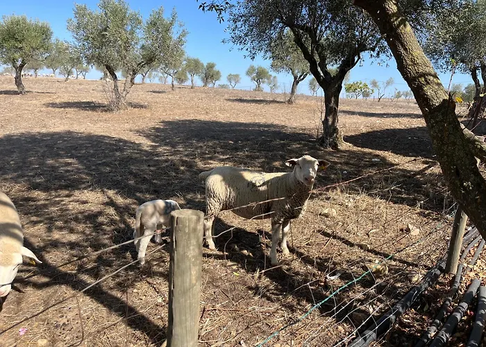 Monte Da Palmeira Feedme Farm * Bicas