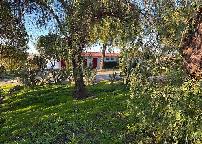 Monte Da Palmeira Feedme Farm *