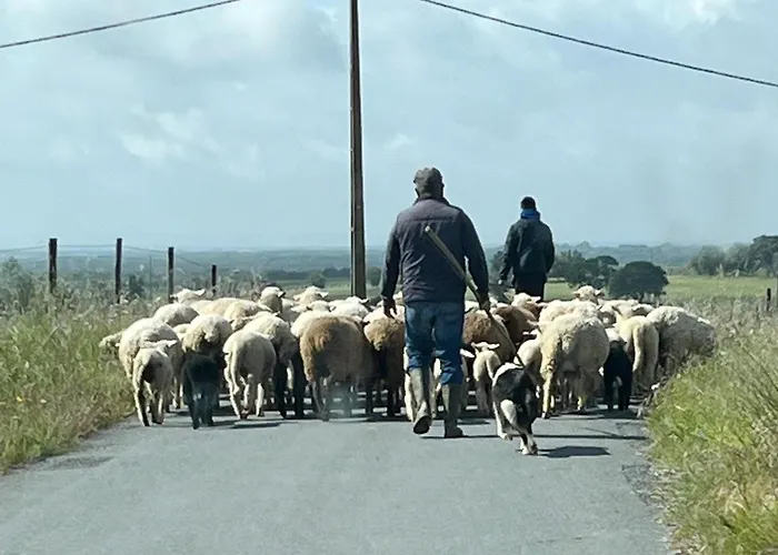 Monte Da Palmeira Feedme Farm 住宿加早餐酒店 *