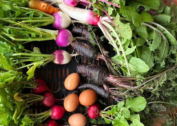 Monte Da Palmeira Feedme Farm Bed and breakfast Bicas