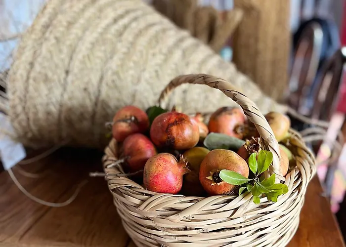 Monte Da Palmeira Feedme Farm Frühstückspension *