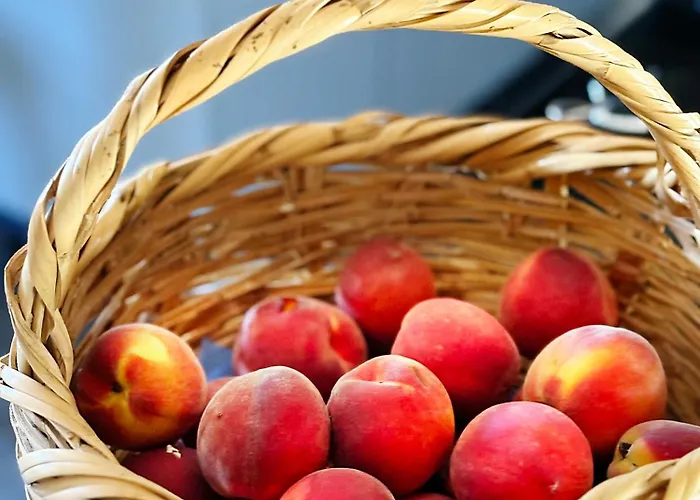 Monte Da Palmeira Feedme Farm