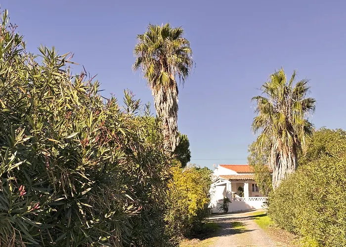 Monte Da Palmeira Feedme Farm Bicas