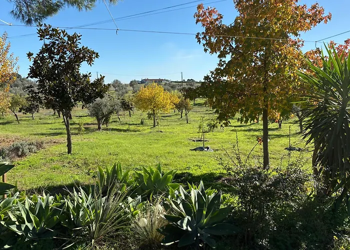 Monte Da Palmeira Feedme Farm * Bicas