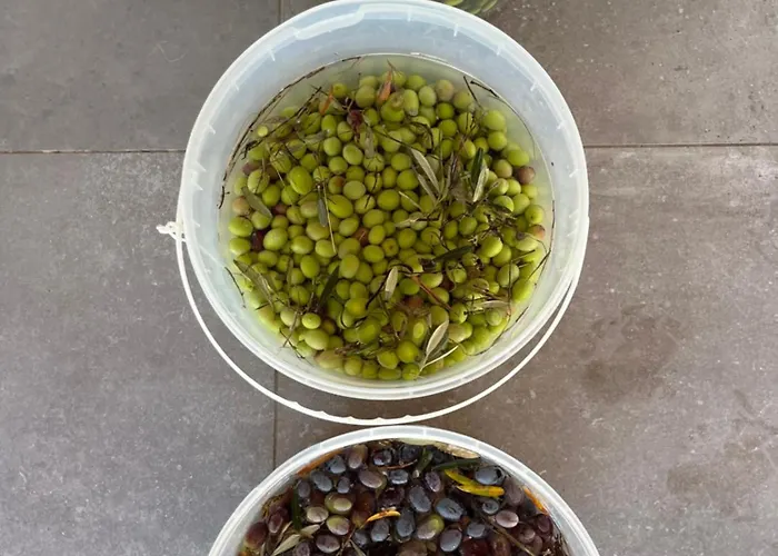 Monte Da Palmeira Feedme Farm * Bicas