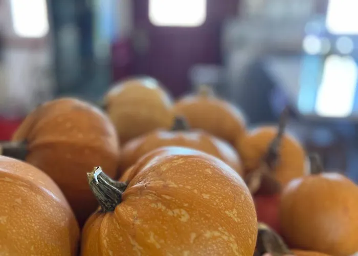 Monte Da Palmeira Feedme Farm * Bicas