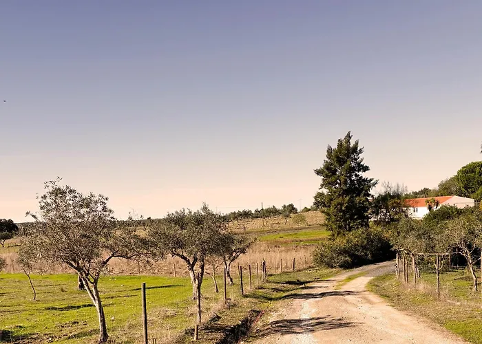 Monte Da Palmeira Feedme Farm