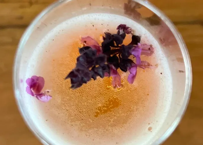 Monte Da Palmeira Feedme Farm Nocleg ze śniadaniem Bicas