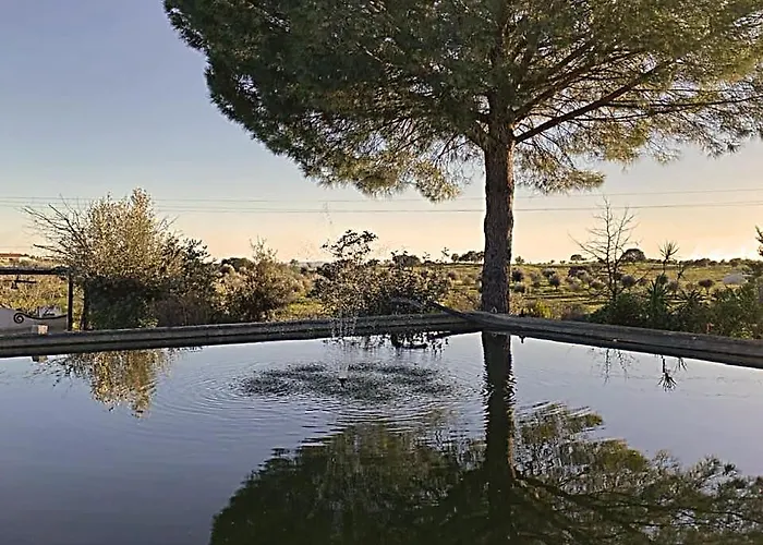 Monte Da Palmeira Feedme Farm