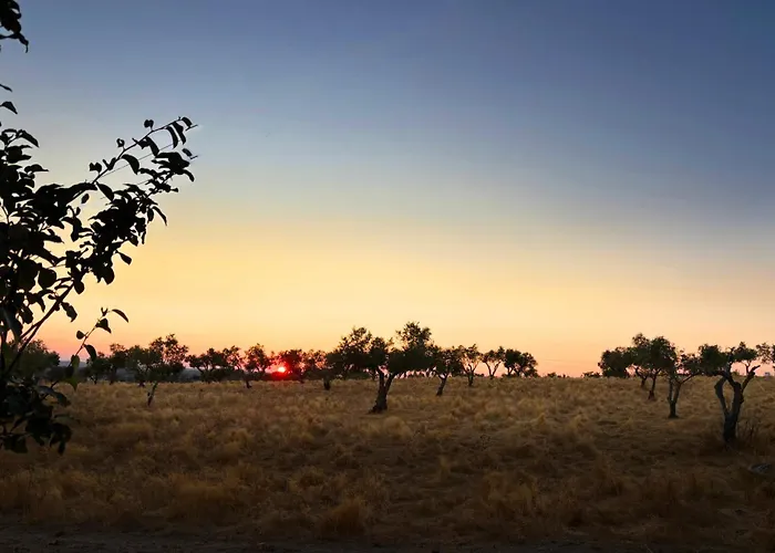 Monte Da Palmeira Feedme Farm 住宿加早餐酒店 *