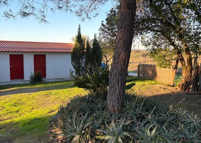 Monte Da Palmeira Feedme Farm