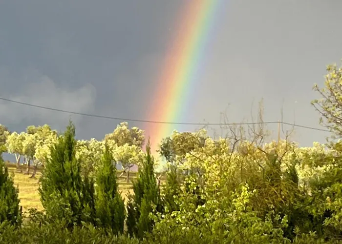 Monte Da Palmeira Feedme Farm Frühstückspension