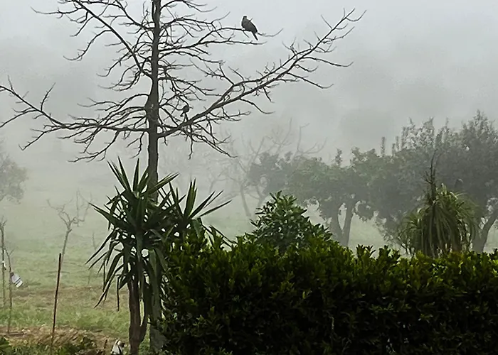 Monte Da Palmeira Feedme Farm Bicas