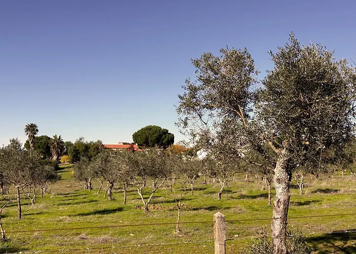 Monte Da Palmeira Feedme Farm *