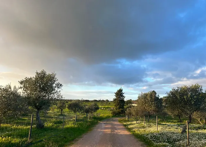 Bed and breakfast Monte Da Palmeira Feedme Farm *