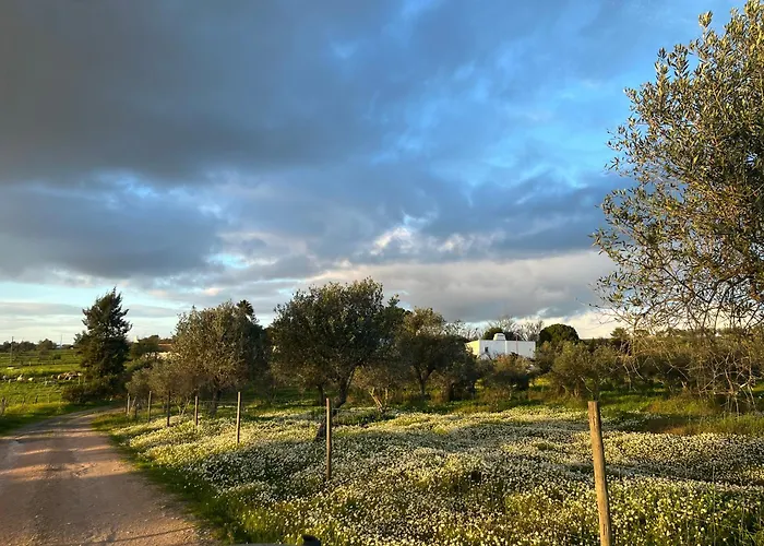 Monte Da Palmeira Feedme Farm Bicas