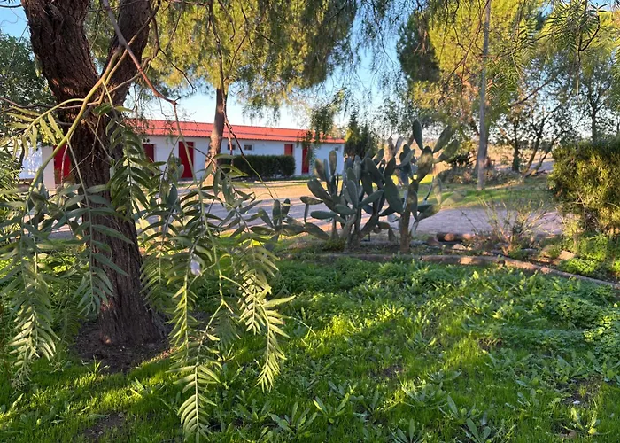 Monte Da Palmeira Feedme Farm Bicas