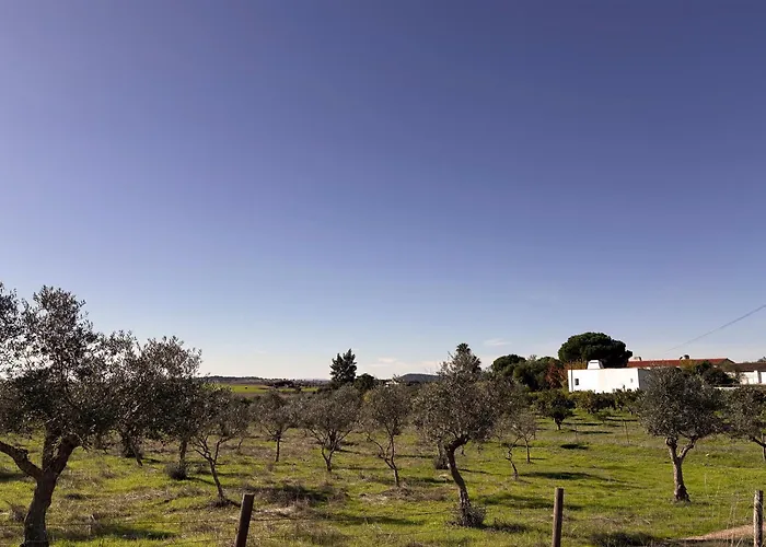 Bed and breakfast Monte Da Palmeira Feedme Farm Bicas