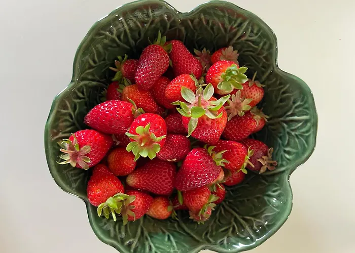 Monte Da Palmeira Feedme Farm Bicas