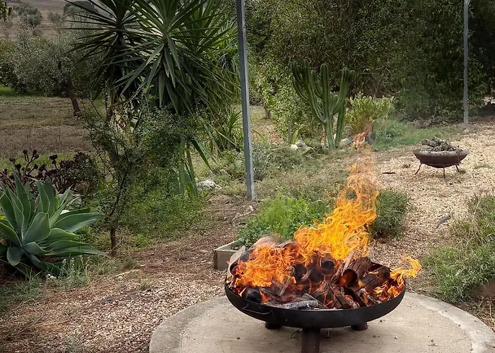 Monte Da Palmeira Feedme Farm Bed and breakfast *