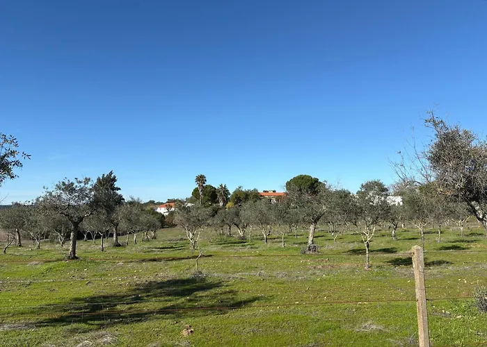 Monte Da Palmeira Feedme Farm Bicas