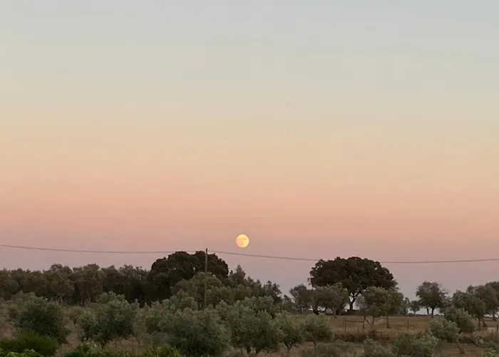 Frühstückspension Monte Da Palmeira Feedme Farm