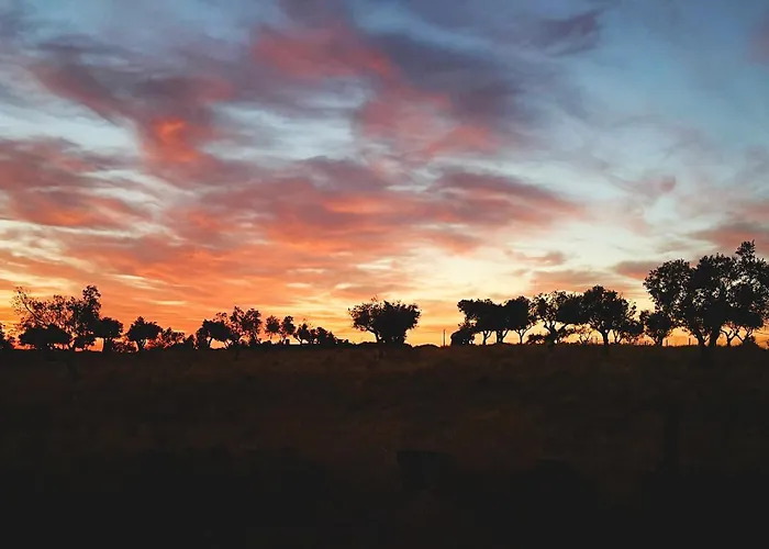 Bed and breakfast Monte Da Palmeira Feedme Farm Bicas